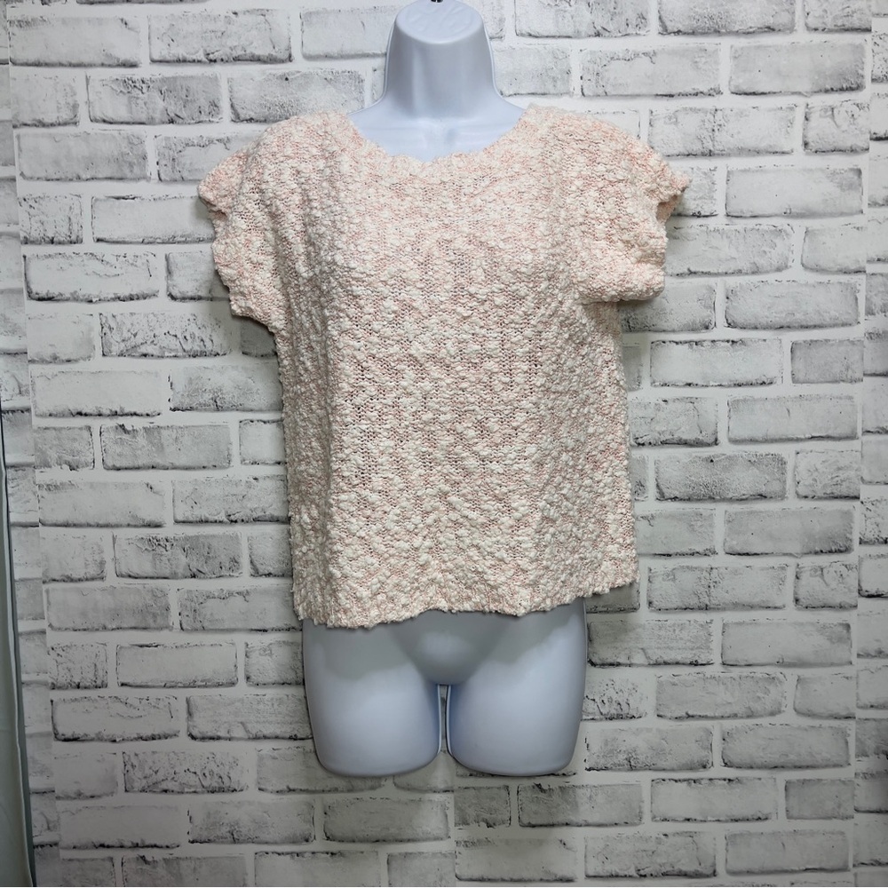 Vintage Carroll Reed Pale Pink Back V-Neck Silk Blend Sweater Medium